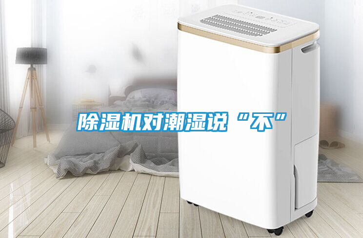 除湿机对潮湿说“不”