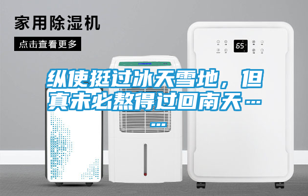 纵使挺过冰天雪地，但真未必熬得过回南天……