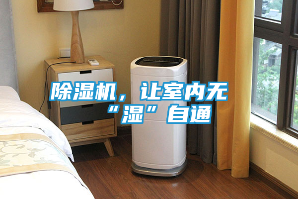 除湿机，让室内无“湿”自通