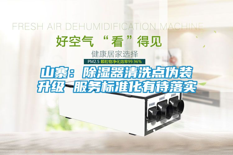 山寨：除湿器清洗点伪装升级 服务标准化有待落实