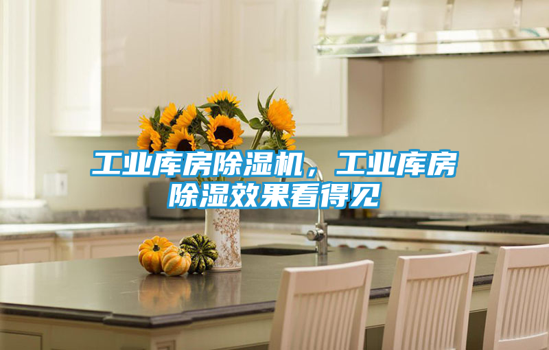 工业库房除湿机，工业库房除湿效果看得见