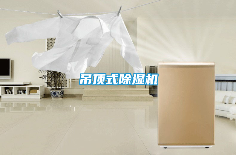 吊顶式除湿机