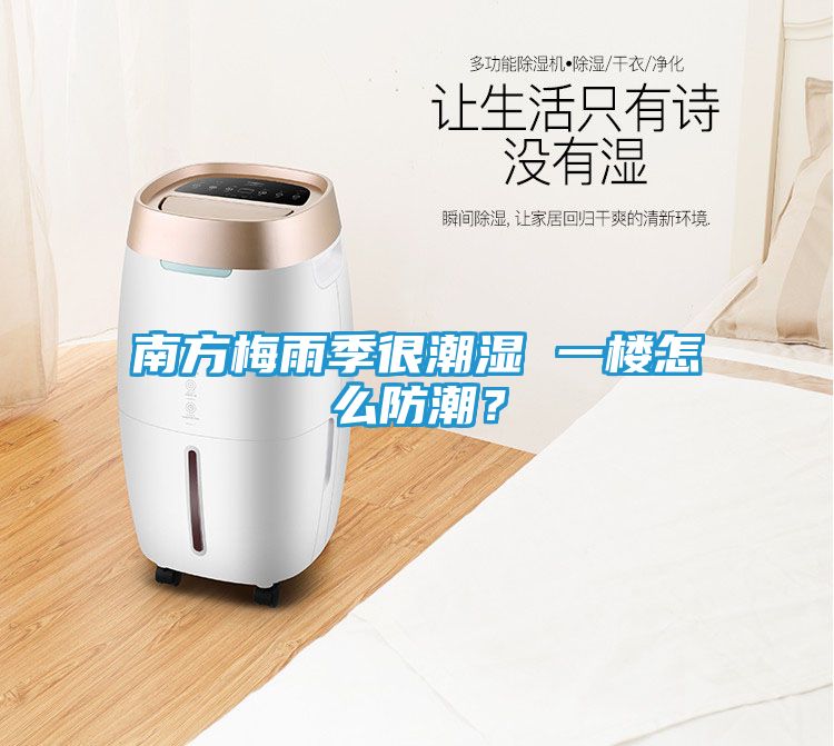 南方梅雨季很潮湿 一楼怎么防潮？