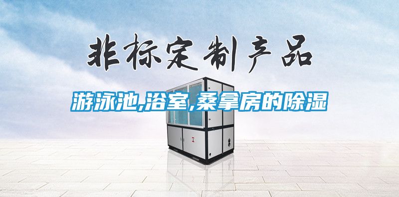 游泳池,浴室,桑拿房的除湿