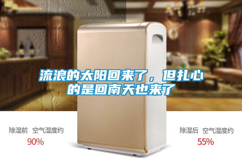 流浪的太阳回来了，但扎心的是回南天也来了