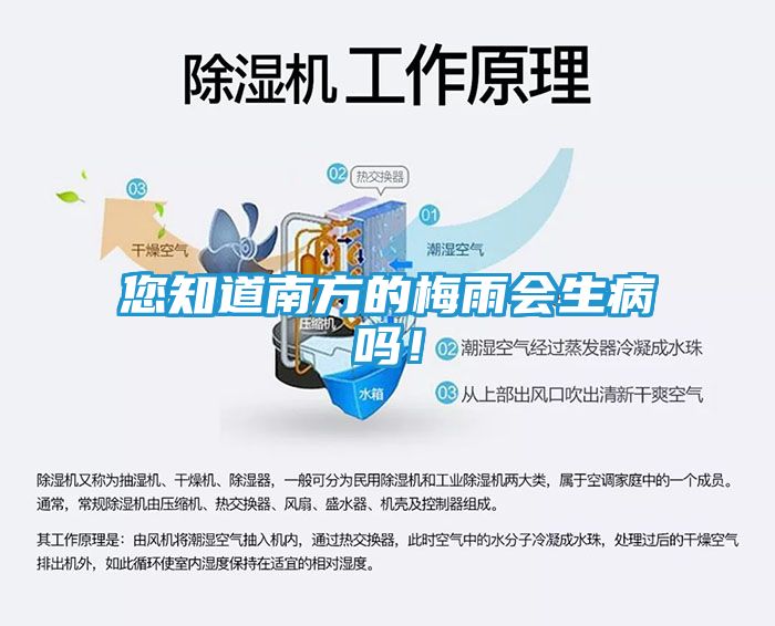 您知道南方的梅雨会生病吗！