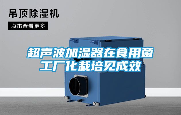 超声波加湿器在食用菌工厂化栽培见成效