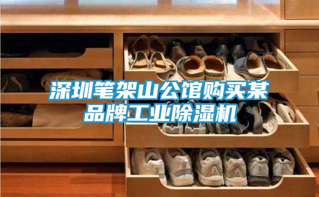 深圳笔架山公馆购买某品牌工业除湿机
