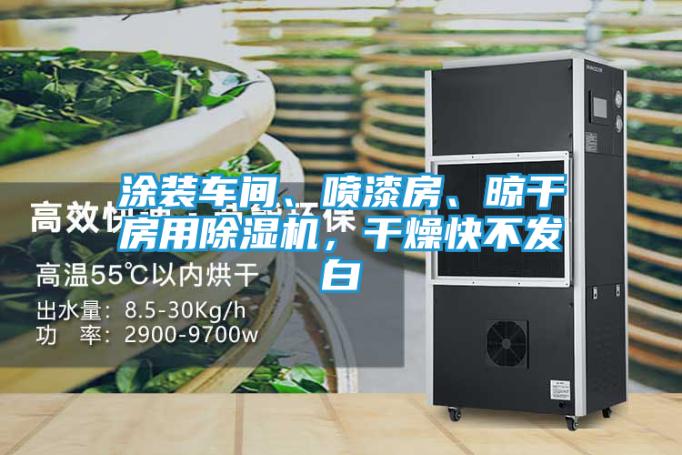 涂装车间、喷漆房、晾干房用除湿机，干燥快不发白
