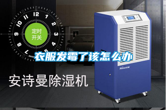 衣服发霉了该怎么办