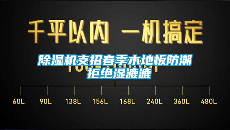 除湿机支招春季木地板防潮 拒绝湿漉漉