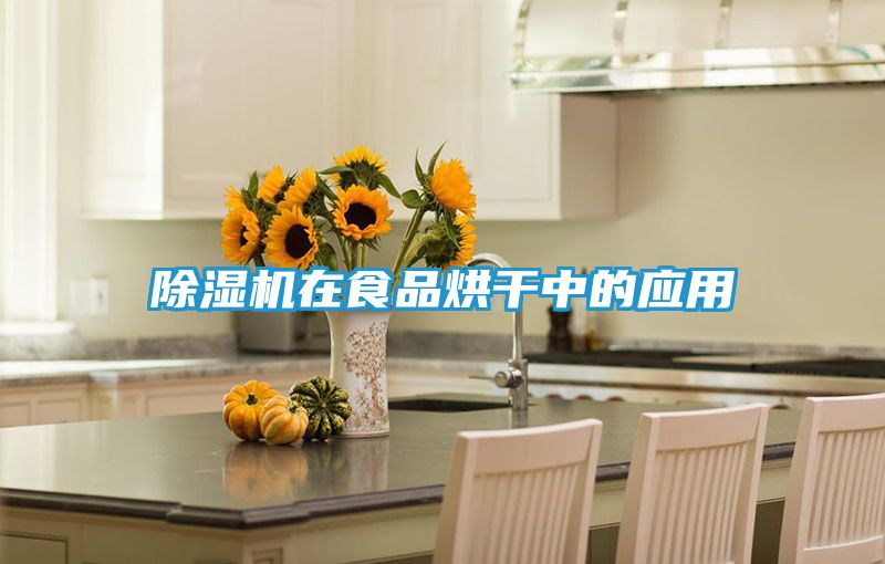 除湿机在食品烘干中的应用