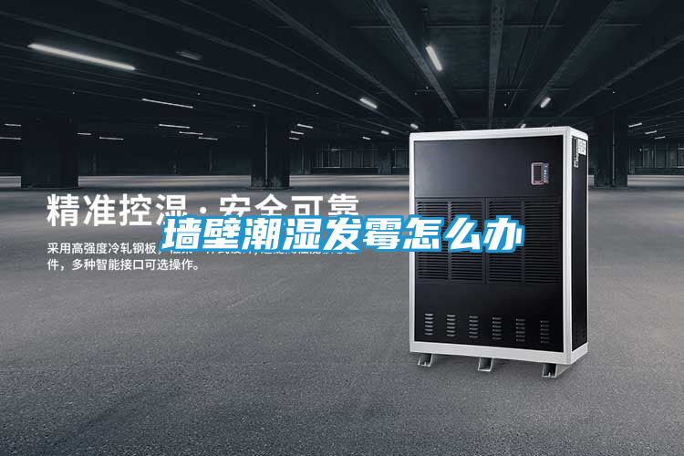 墙壁潮湿发霉怎么办