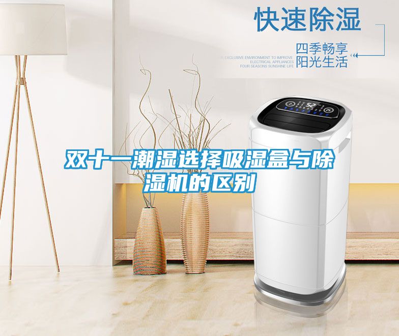 双十一潮湿选择吸湿盒与除湿机的区别