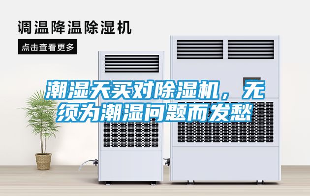 潮湿天买对除湿机，无须为潮湿问题而发愁