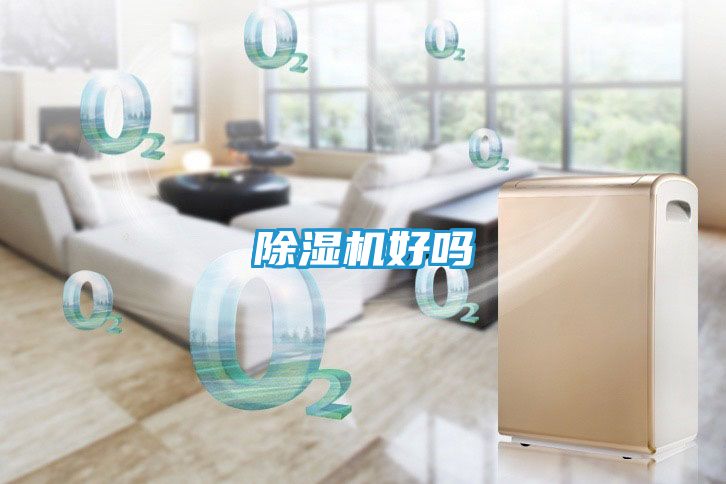 除湿机好吗