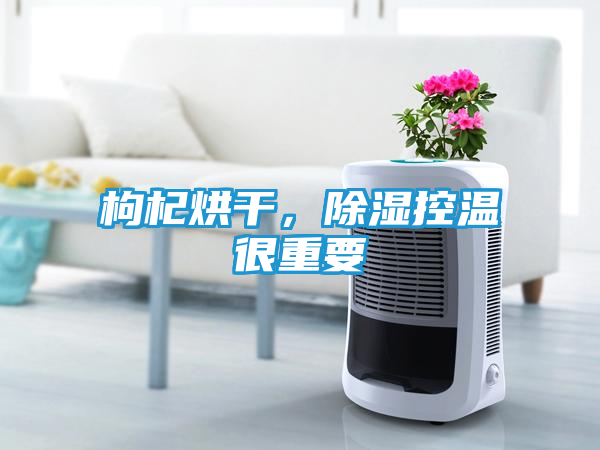 枸杞烘干，除湿控温很重要