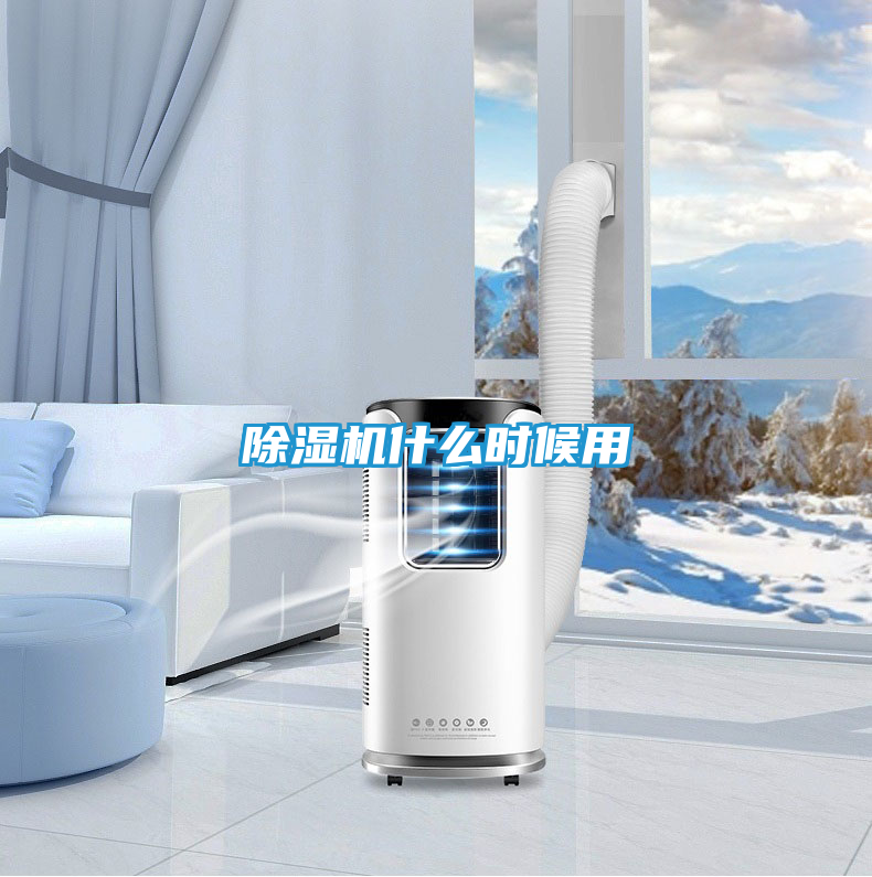 除湿机什么时候用