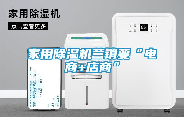 家用除湿机营销要“电商+店商”