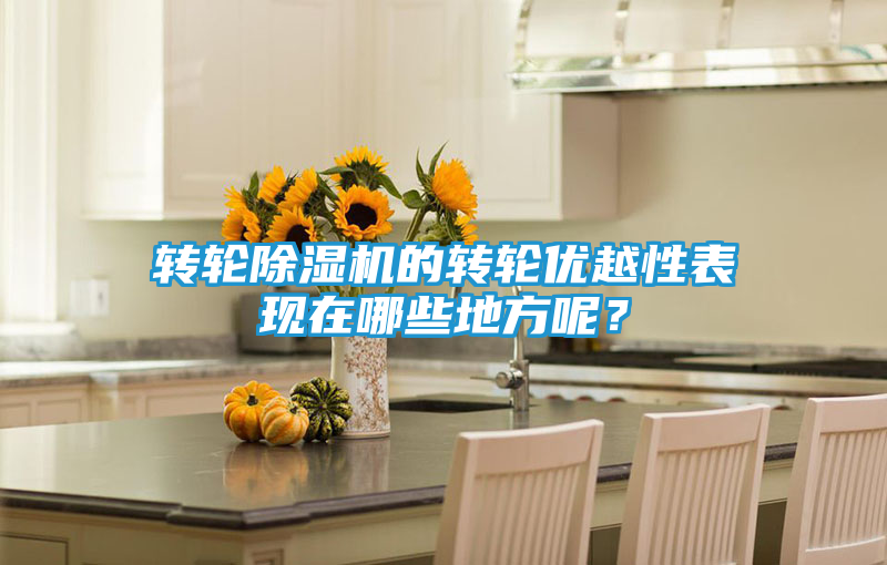 转轮除湿机的转轮优越性表现在哪些地方呢？