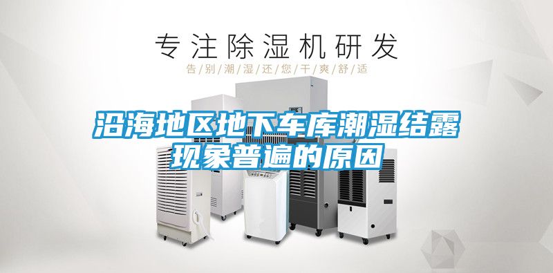 沿海地区地下车库潮湿结露现象普遍的原因