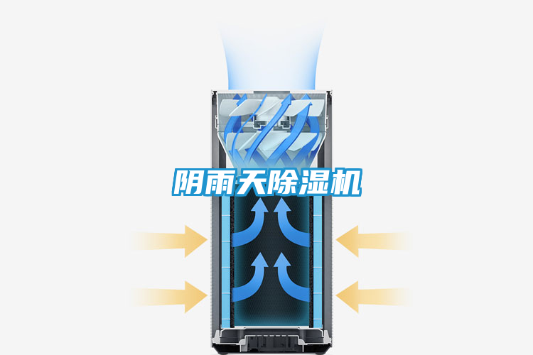 阴雨天除湿机