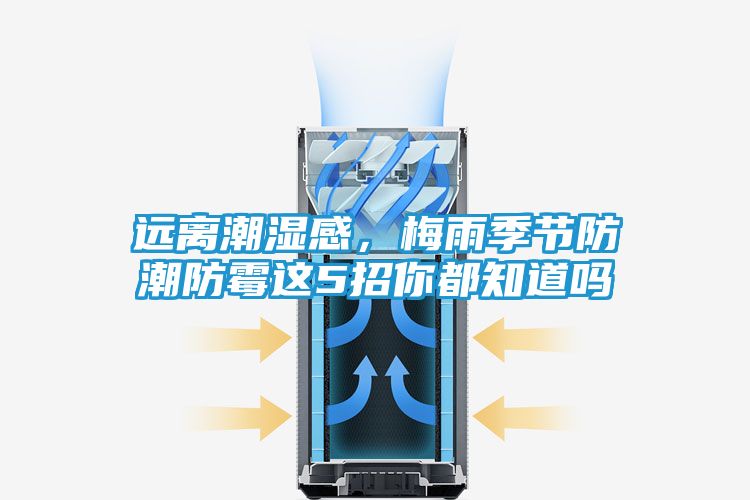 远离潮湿感，梅雨季节防潮防霉这5招你都知道吗