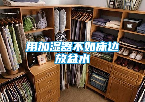 用加湿器不如床边放盆水