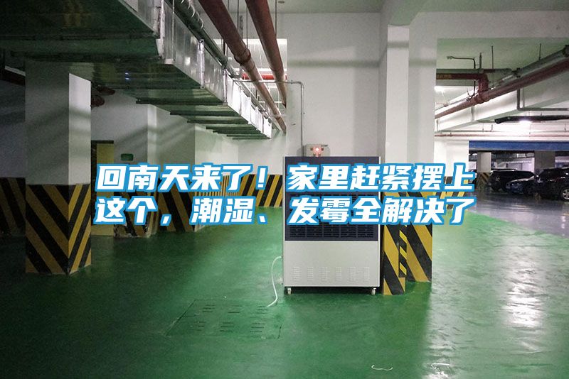 回南天来了！家里赶紧摆上这个，潮湿、发霉全解决了