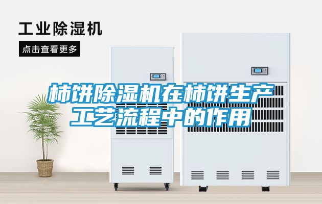 柿饼除湿机在柿饼生产工艺流程中的作用