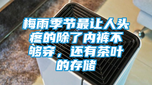 梅雨季节最让人头疼的除了内裤不够穿，还有茶叶的存储