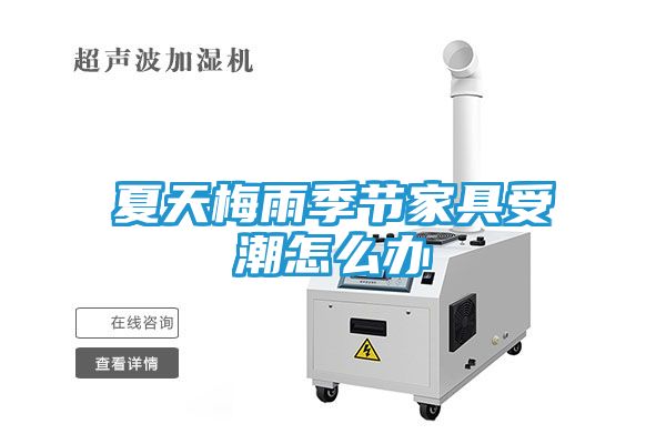 夏天梅雨季节家具受潮怎么办