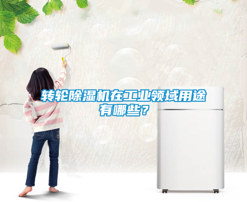 转轮除湿机在工业领域用途有哪些？