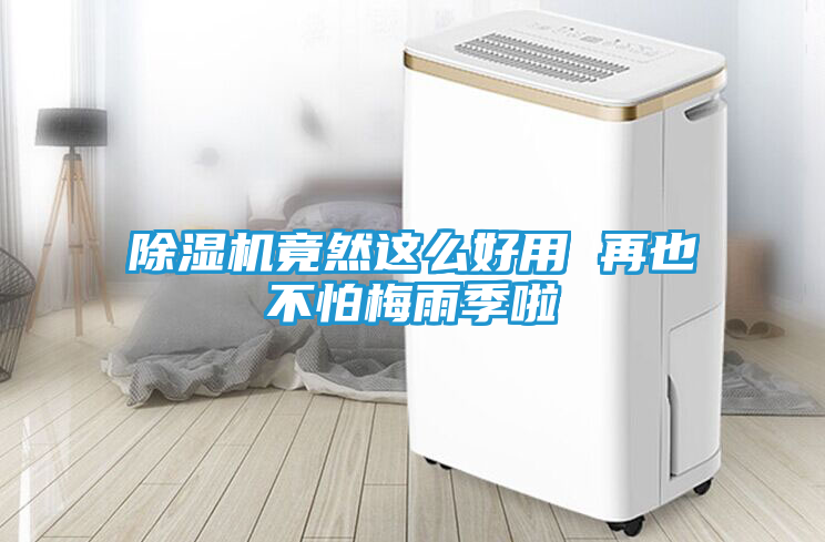 除湿机竟然这么好用 再也不怕梅雨季啦