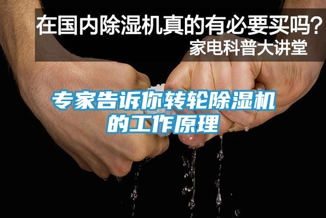 专家告诉你转轮除湿机的工作原理