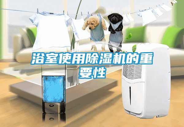 浴室使用除湿机的重要性