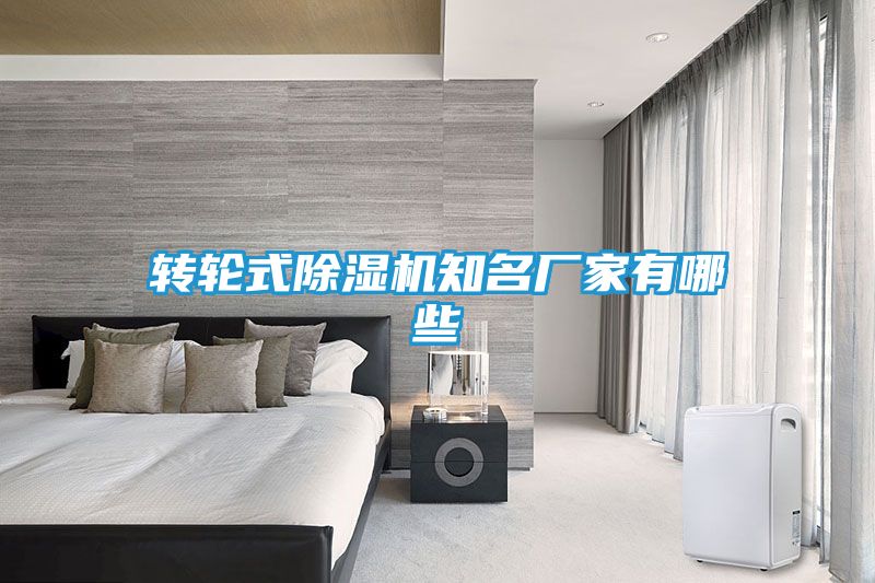转轮式除湿机知名厂家有哪些