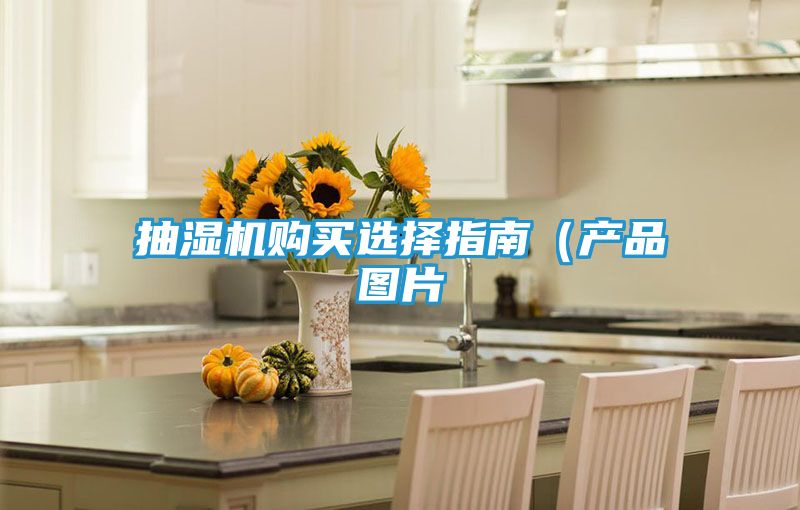 抽湿机购买选择指南（产品图片