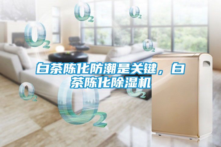 白茶陈化防潮是关键，白茶陈化除湿机