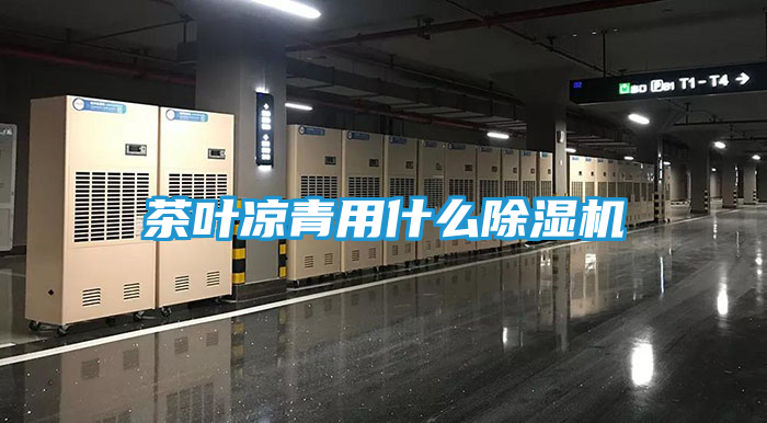 茶叶凉青用什么除湿机