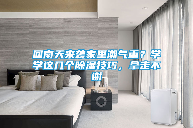 回南天来袭家里潮气重？学学这几个除湿技巧，拿走不谢