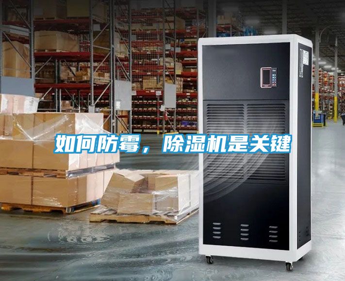 如何防霉，除湿机是关键