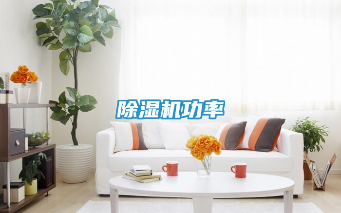 除湿机功率