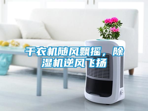 干衣机随风飘摇，除湿机逆风飞扬