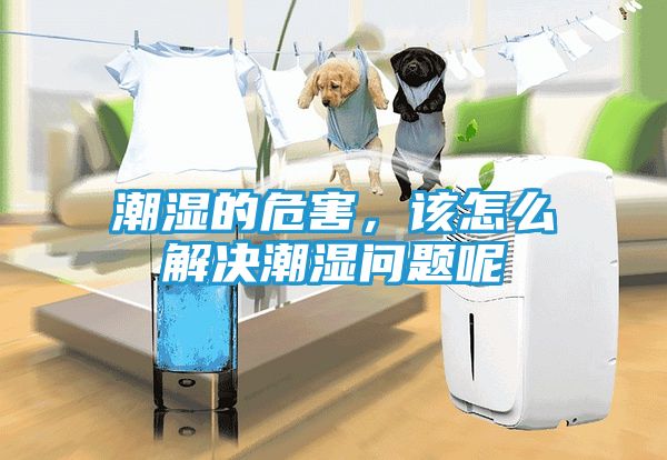 潮湿的危害，该怎么解决潮湿问题呢