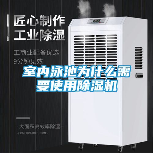 室内泳池为什么需要使用除湿机