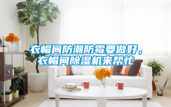 衣帽间防潮防霉要做好，衣帽间除湿机来帮忙