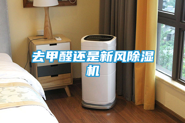 去甲醛还是新风除湿机