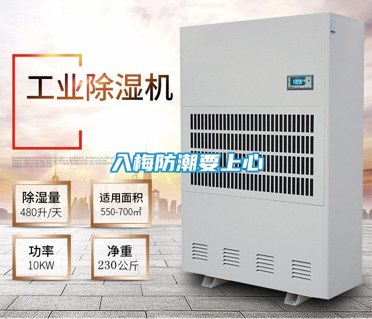 入梅防潮要上心