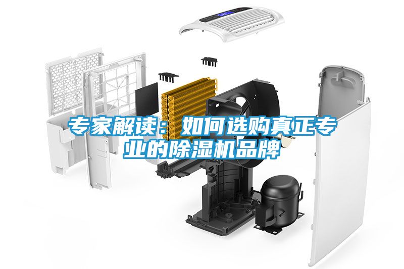 专家解读：如何选购真正专业的除湿机品牌